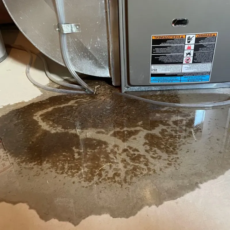 Pipe Burst and Leak Restoration in Waterford, CT
