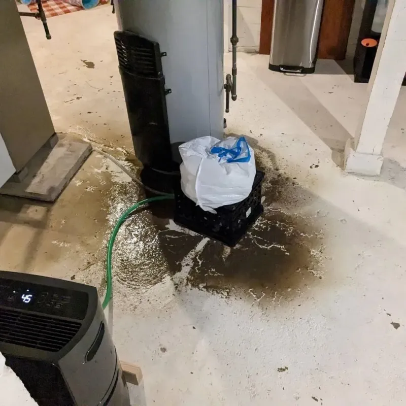 Sewage Backup Cleanup Service in Waterford, CT